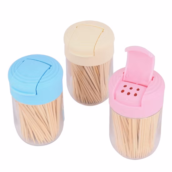 Stuzzicadenti di bambù monouso di buona qualità personalizzati in tubo di plastica